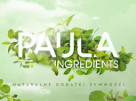 Logo PAULA Ingredients Sp. z o.o.