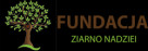 Logo Fundacja Ziarno Nadziei