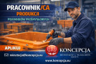 Logo Agencja Pracy Koncepcja