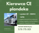 Logo Werkservice